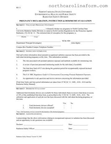 Blank North Carolina Rs 11 PDF Form